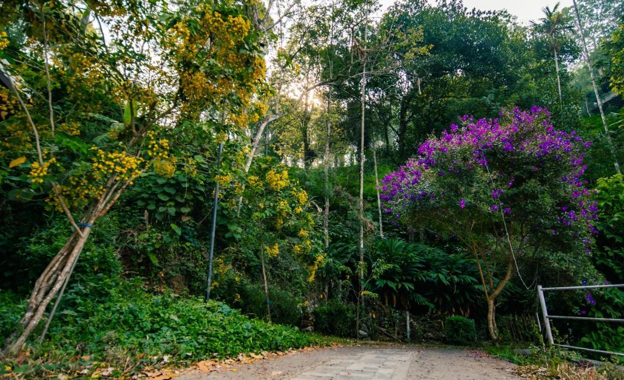 Southern Panorama Indriya Resorts & Spa Munnar Kültér fotó