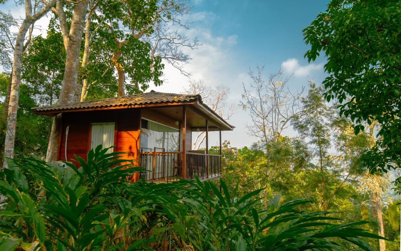 Southern Panorama Indriya Resorts & Spa Munnar Kültér fotó