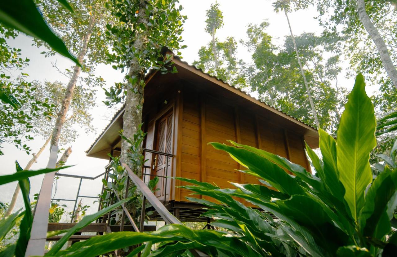 Southern Panorama Indriya Resorts & Spa Munnar Kültér fotó
