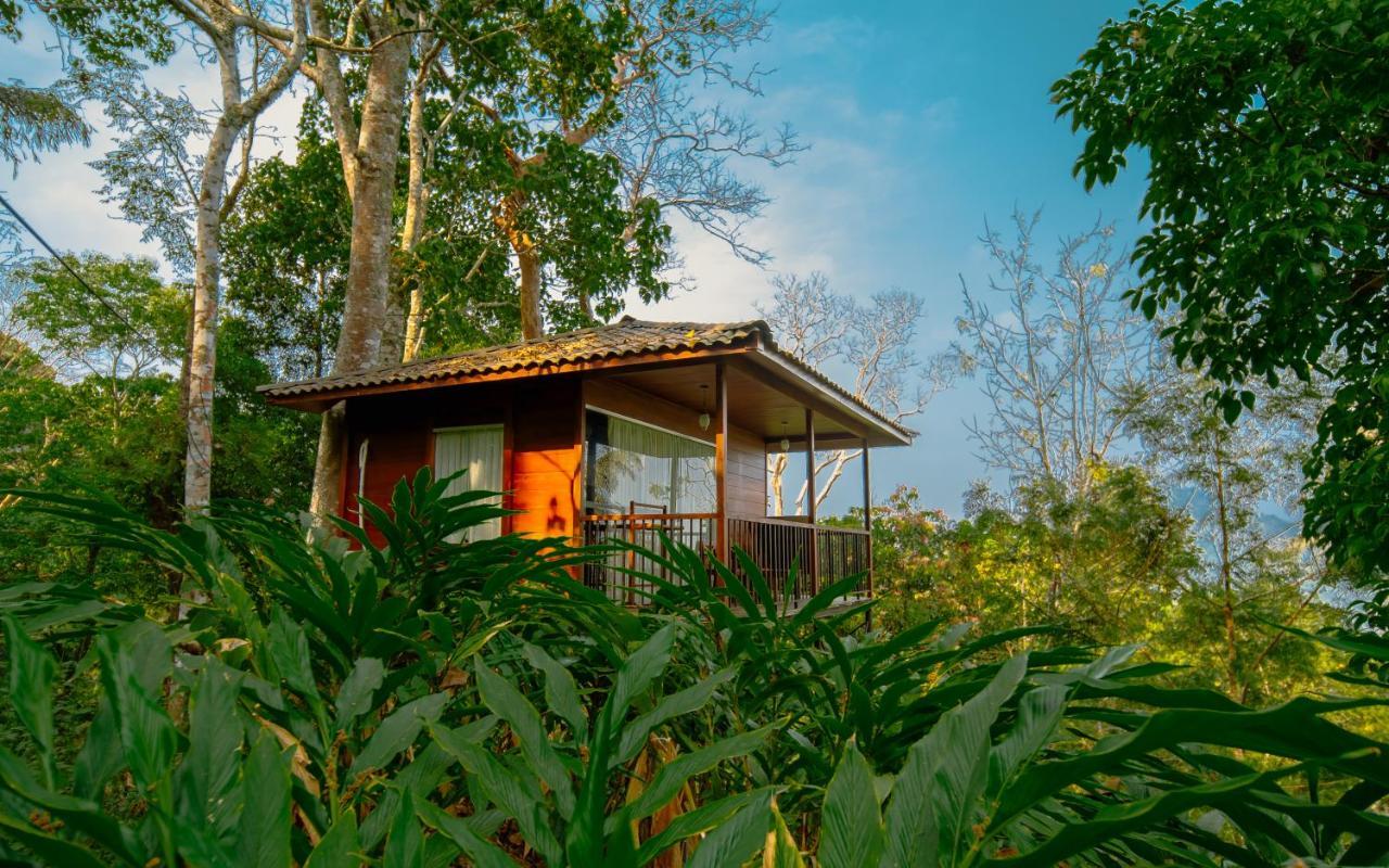 Southern Panorama Indriya Resorts & Spa Munnar Kültér fotó