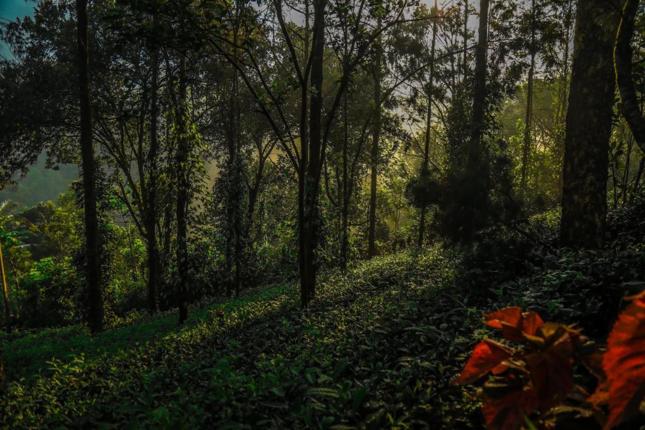 Southern Panorama Indriya Resorts & Spa Munnar Kültér fotó