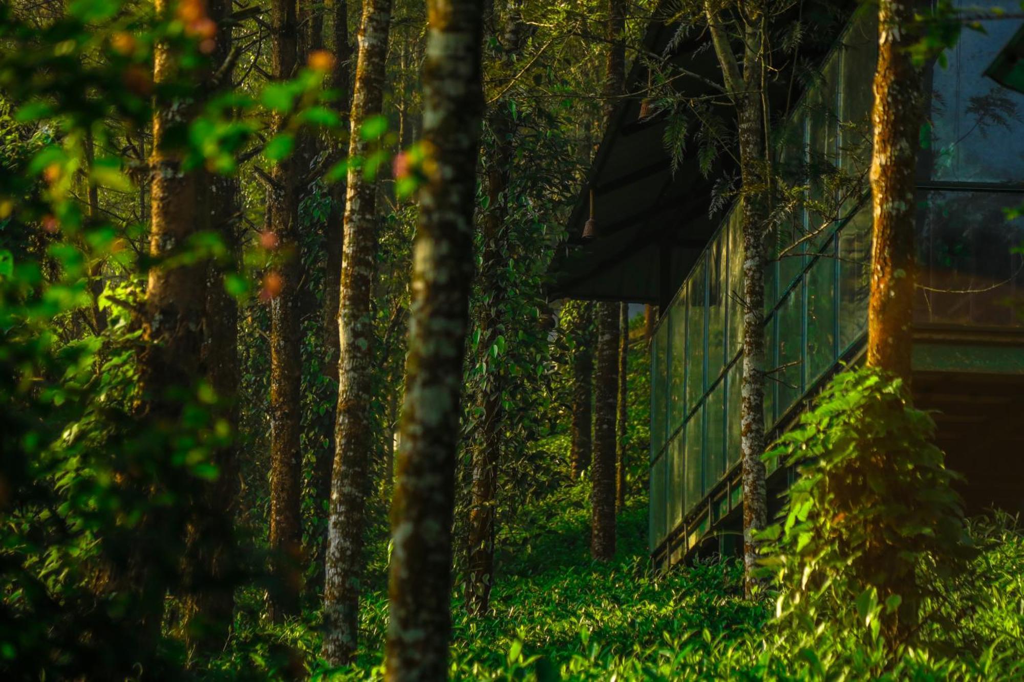 Southern Panorama Indriya Resorts & Spa Munnar Kültér fotó